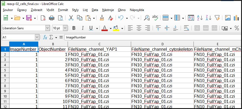 “Example: cells_final.csv file”