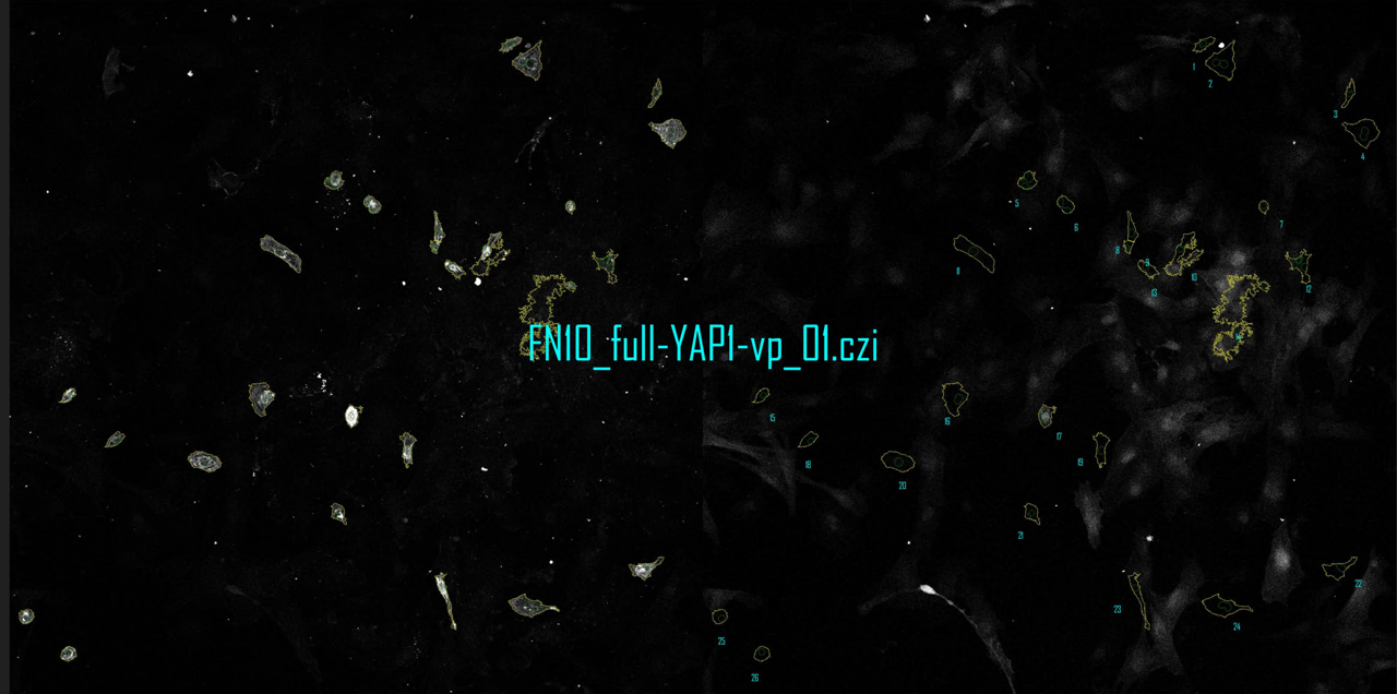 example-output-image_01